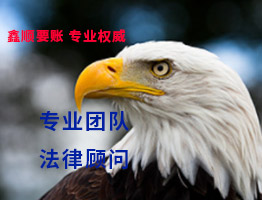 專業(yè)要賬